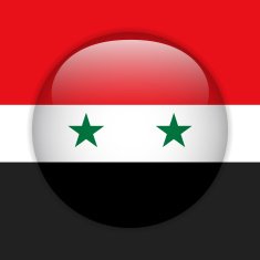 Syria Flag Glossy Button N2