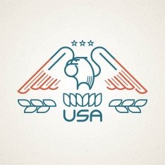 Made in the USA Symbol with American flag and eagle N3