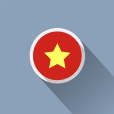 Vietnam flag button N2