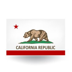California State Flag N13