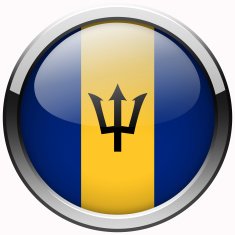 barbados flag gel metal button