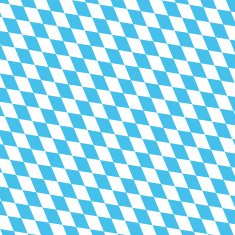 Officially flag of Bavaria Vector