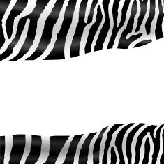 Zebra texture