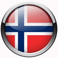 norway flag gel metal button
