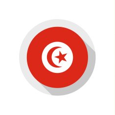 Flag of Tunisia N13