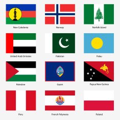 Set Flags