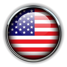 USA Button N2