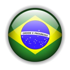 Brazil flag button vector