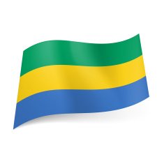 State flag of Gabon