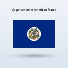 Organization Of American States Flag N2
