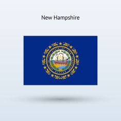 State of New Hampshire Flag N3
