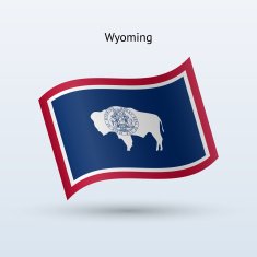 State of Wyoming Flag N3