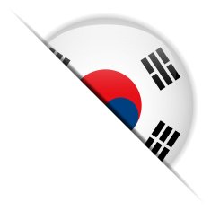 South Korea Flag Glossy Button Hidden