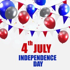 Independence Day Poster Vector Illustration N12