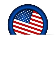 American Flag for Independence Day Vector illustration N16