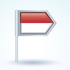 Flag of Indonesia vector illustration N9