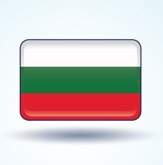 Flag of Bulgaria vector illustration N9