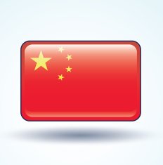 Flag of China vector illustration N8