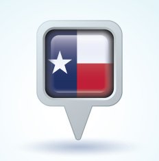 Flag of Texas vector illustration N6