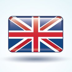 Flag of England vector illustration N8