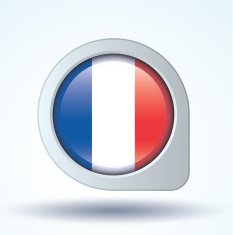 Flag of France vector illustration N10