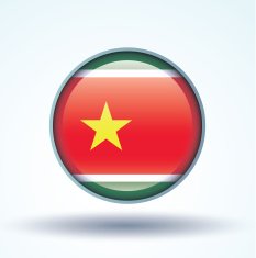 Flag of Guadeloupe vector illustration N10