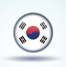 Flag of South korea vector illustration N11