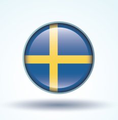 Flag of Sweden vector illustration N10