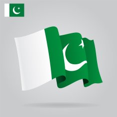 Flat and waving Pakistani Flag Vector