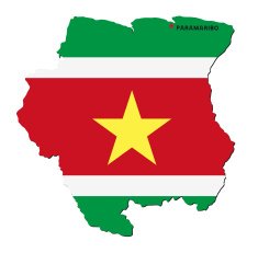 Flag of Suriname N11