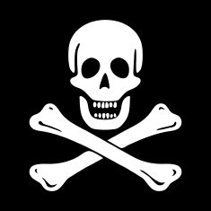 Jolly Roger N13