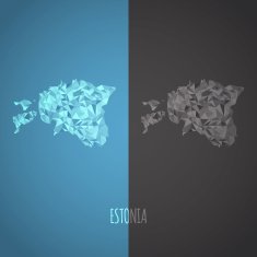 Low Poly Estonia Map with National Colors