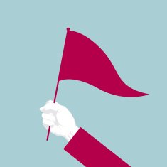 Hand holding flag N2