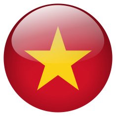 vietnam button