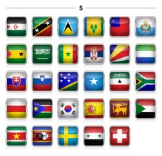 Flags icon - "S" N6