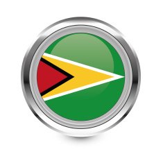 Guyana flag icon
