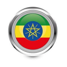 Ethiopia flag icon N2
