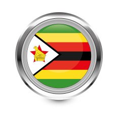 Zimbabwe Flag Icon N3