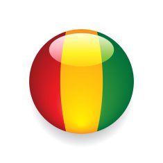 World Flag Button Guinea