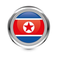 North korea Flag icon N2