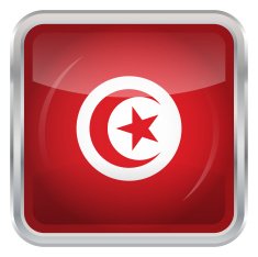 Glossy Button - Flag of Tunisia N4