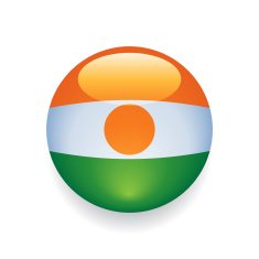 World Flag Button Niger