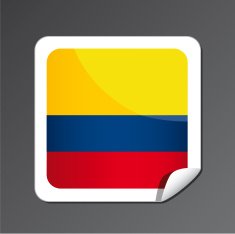 Ecuador flag button N2