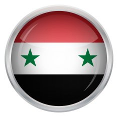 Glossy Button - Flag of Syria N4