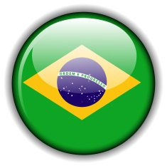 Brazilian flag button N2