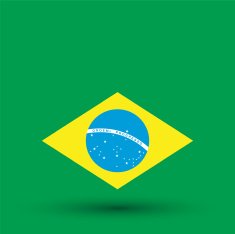 Brazil Flag N45