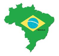 Flag of Brazil N38