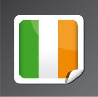 Ireland flag button N4