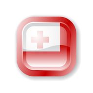 Tonga Flag Icon