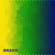 Brazil Flag Illustration N2